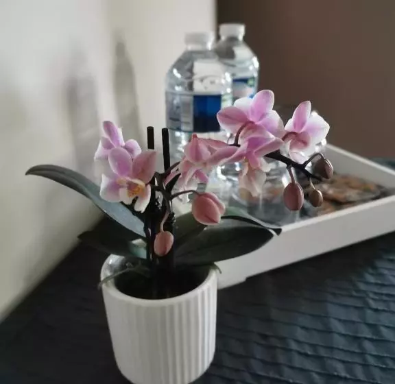 Aamiaismajoitus (B&B) La Ferme De La Papote