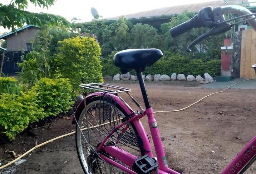 ホテル Kilimanjaro Mad Monkey S