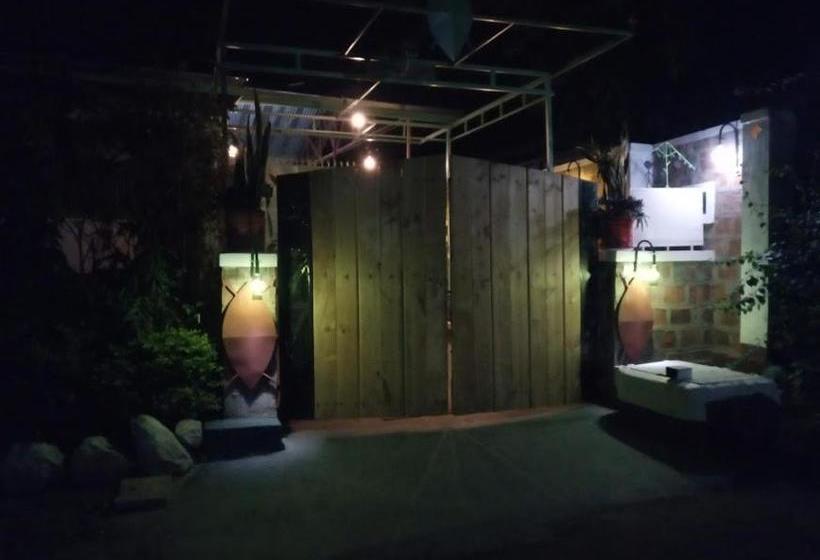 ホテル Kilimanjaro Mad Monkey S