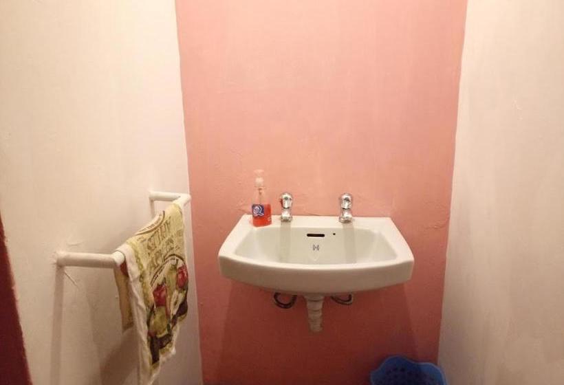 ホテル Kilimanjaro Mad Monkey S