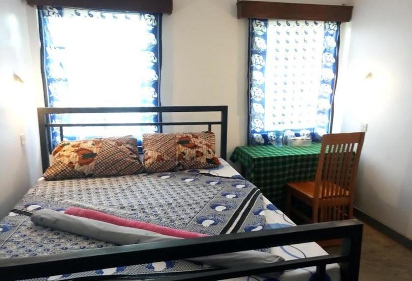 ホテル Kilimanjaro Mad Monkey S