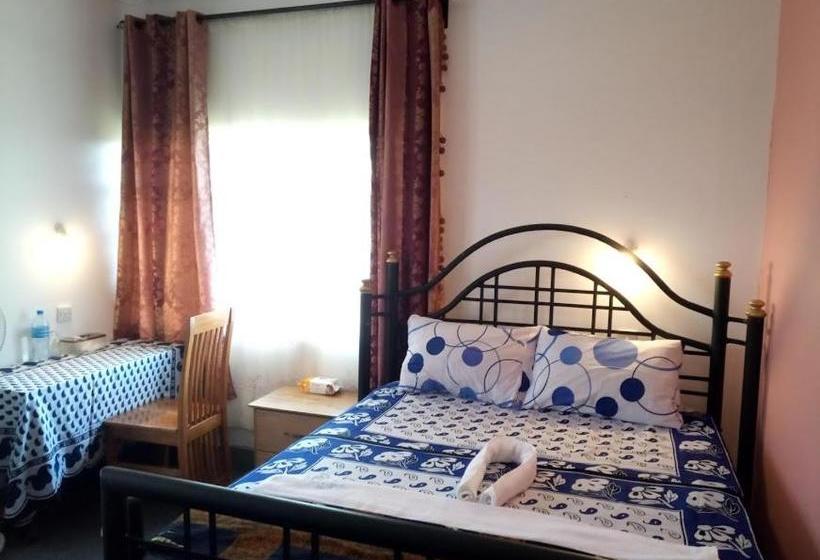 ホテル Kilimanjaro Mad Monkey S