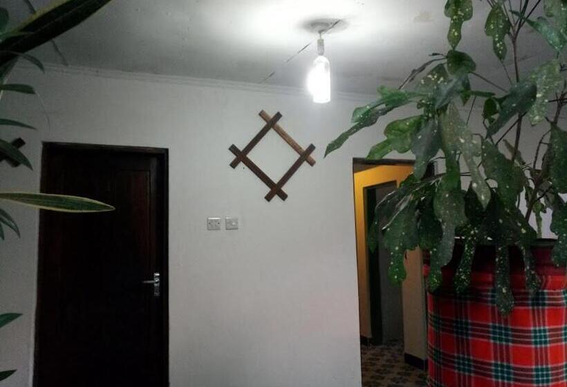 ホテル Kilimanjaro Mad Monkey S