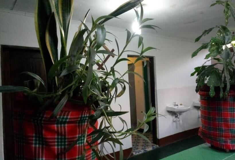 ホテル Kilimanjaro Mad Monkey S