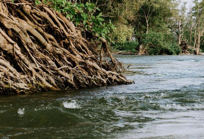 هتل Sorya Guesthouse & Dolphin Tours