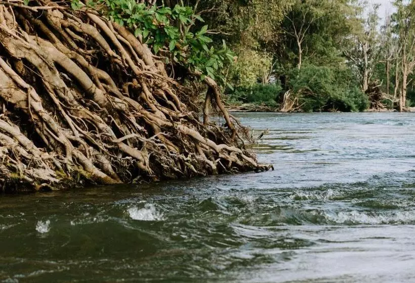 هتل Sorya Guesthouse & Dolphin Tours