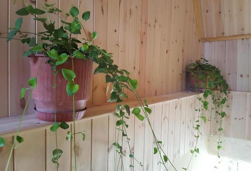 Pensão Guesthouse Bec Villi