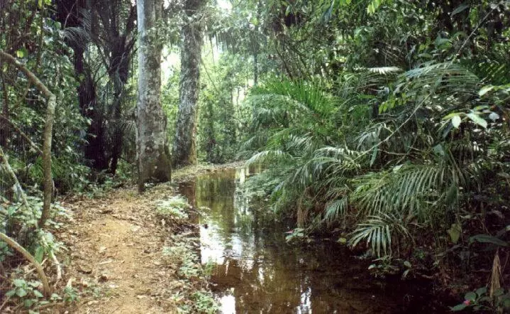 ユースホステル Pousada Vila Capelinha