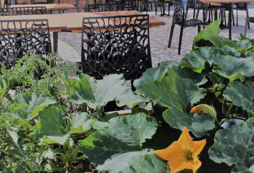 酒店 Les Saladelles