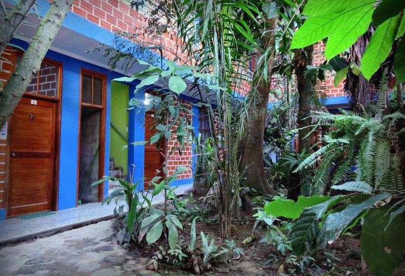 پانسیون Hospedaje Ecológico Purma Wasi