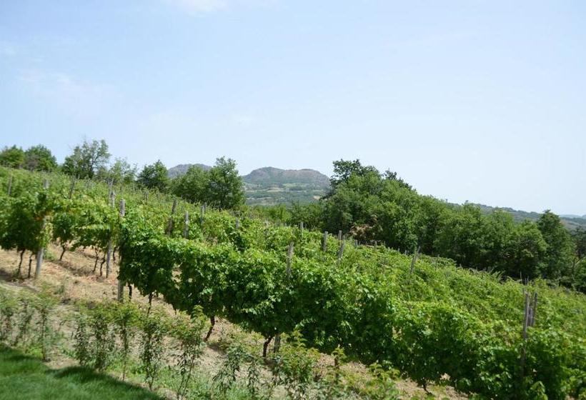 호텔 Agriturismo Ca  Del Sartu