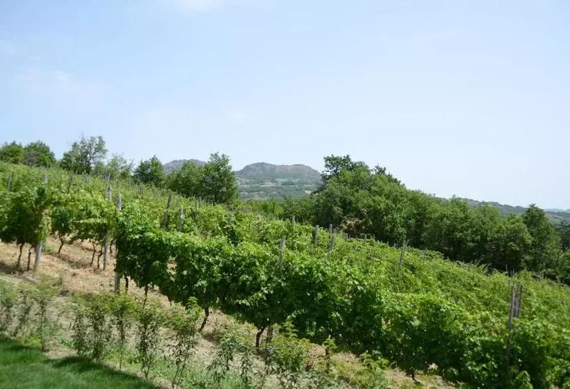 ホテル Agriturismo Ca  Del Sartu