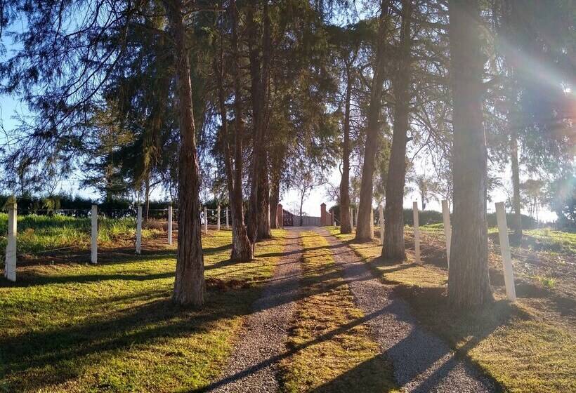 Пансион Recanto Elamar