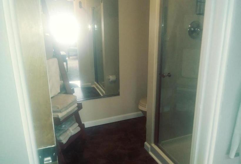 פנסיון The Guest House At The Regina House Tea Room