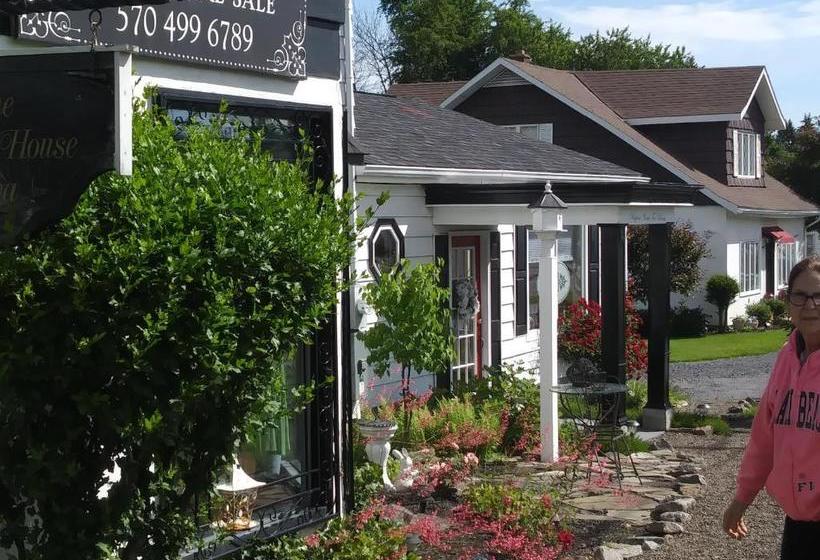 פנסיון The Guest House At The Regina House Tea Room