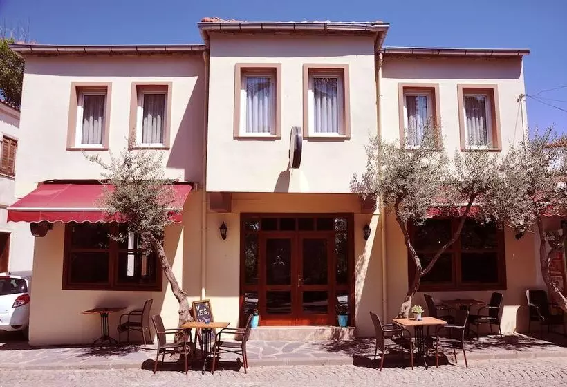 ベッドアンドブレックファースト Queen Bee