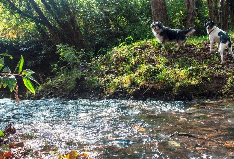 ホテル Agroturismo Araize