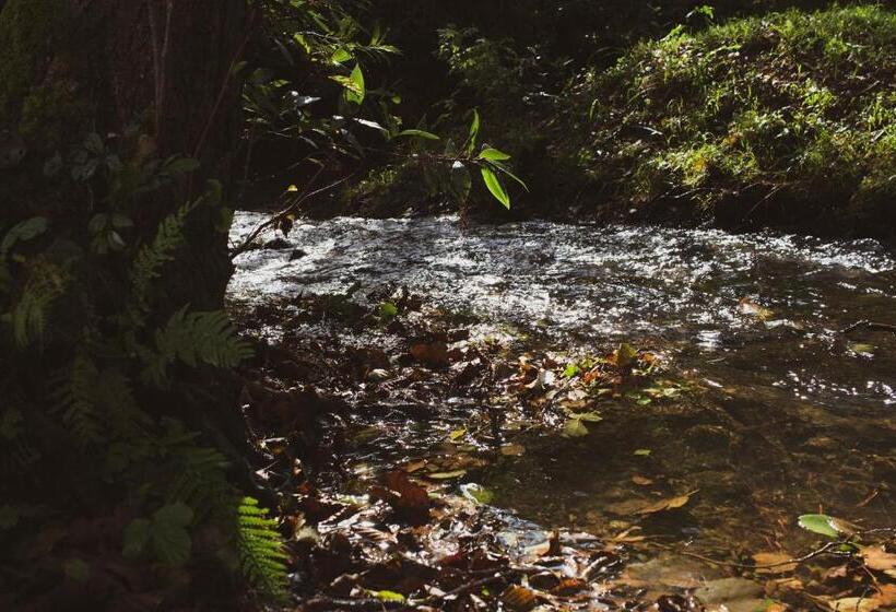 ホテル Agroturismo Araize