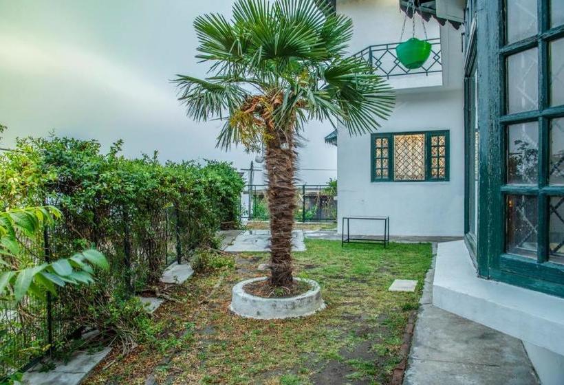 호텔 Pine Winds Villa