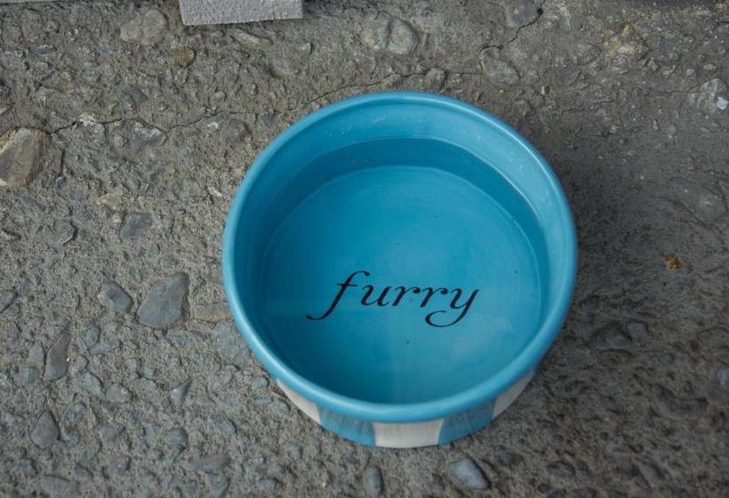 ホテル Carmel River Inn