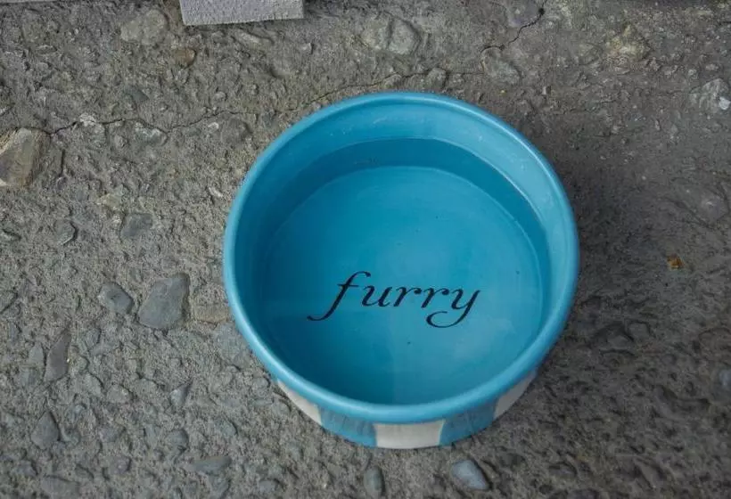 هتل Carmel River Inn