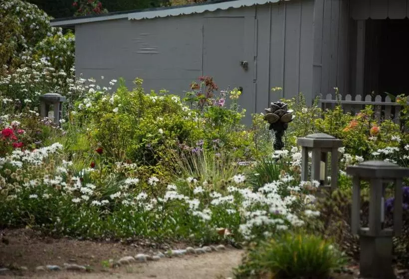 هتل Carmel River Inn