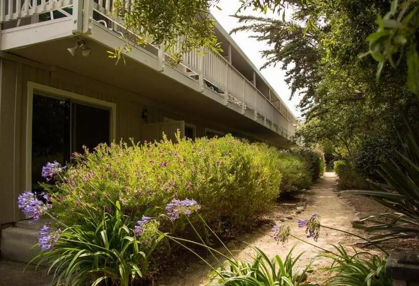 هتل Carmel River Inn