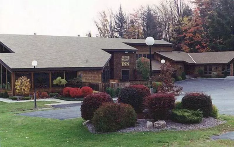 Отель Cedar Motor Inn