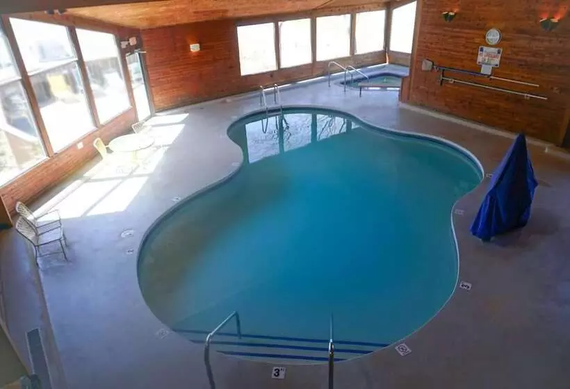 Отель Cedar Motor Inn