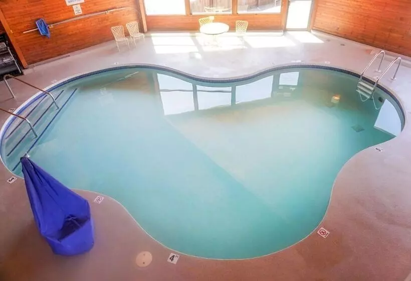 Отель Cedar Motor Inn