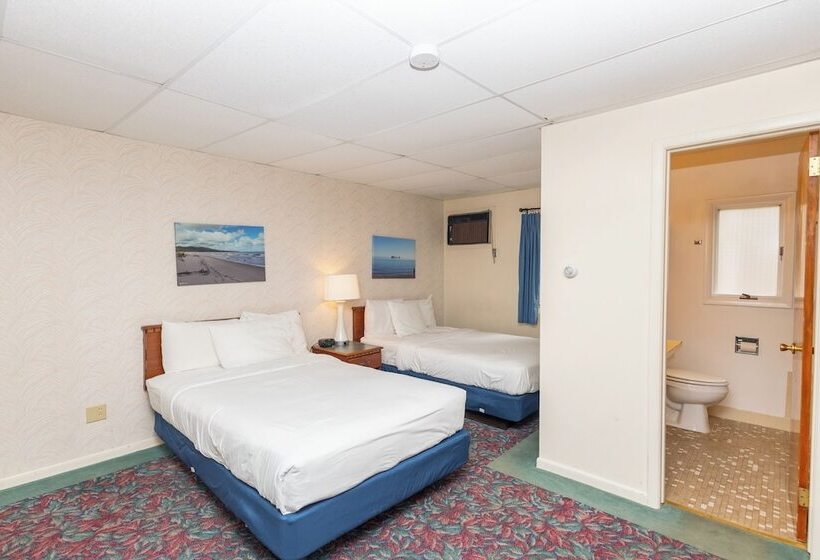 酒店 Cedar Motor Inn