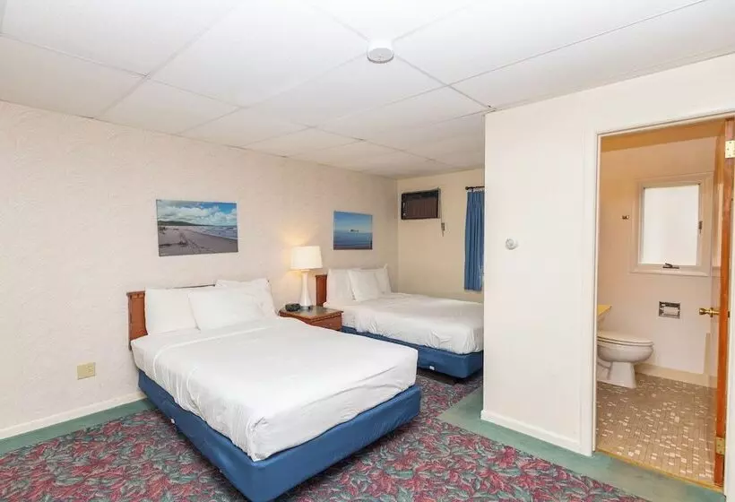 Отель Cedar Motor Inn