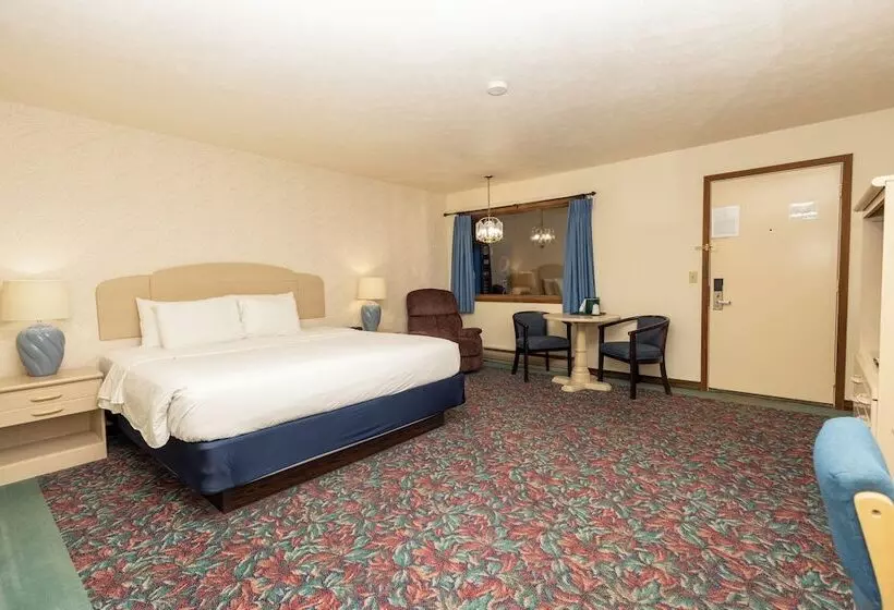 Отель Cedar Motor Inn