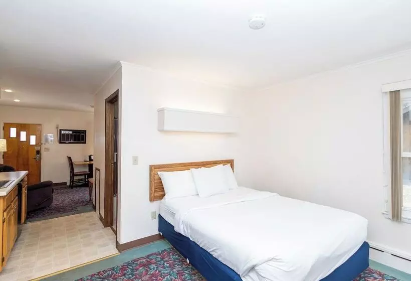 Отель Cedar Motor Inn