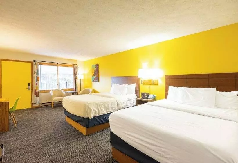 Отель Cedar Motor Inn