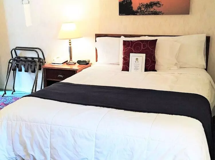 Отель Cedar Motor Inn