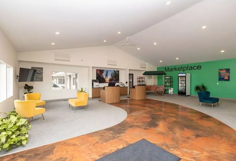 Отель Cedar Motor Inn