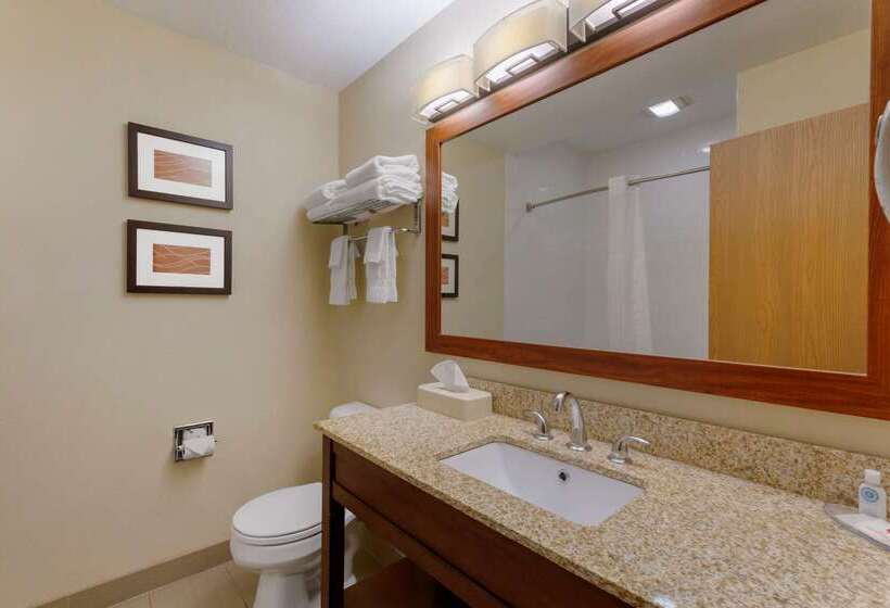 酒店 Comfort Inn River's Edge