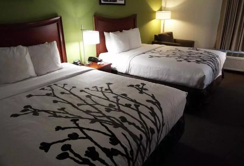 هتل Sleep Inn & Suites