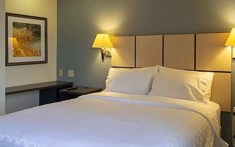 호텔 Sonesta Simply Suites Pittsburgh Airport