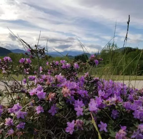 Motel Starlight Lodge North Conway