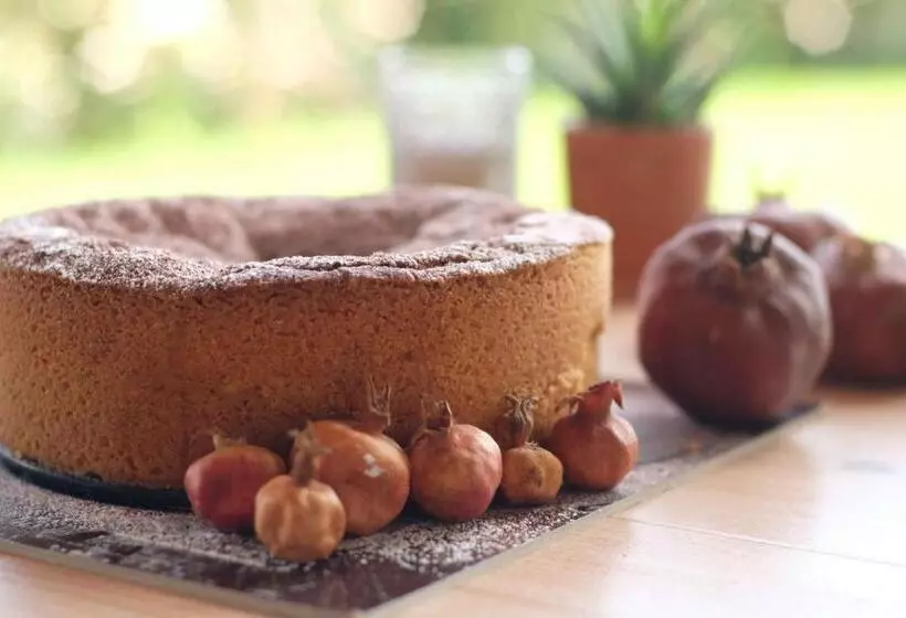 Aamiaismajoitus (B&B) Vuvulà