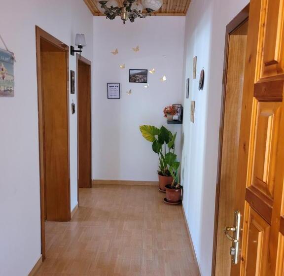 膳宿费 Nako Guest House Bar&restaurants