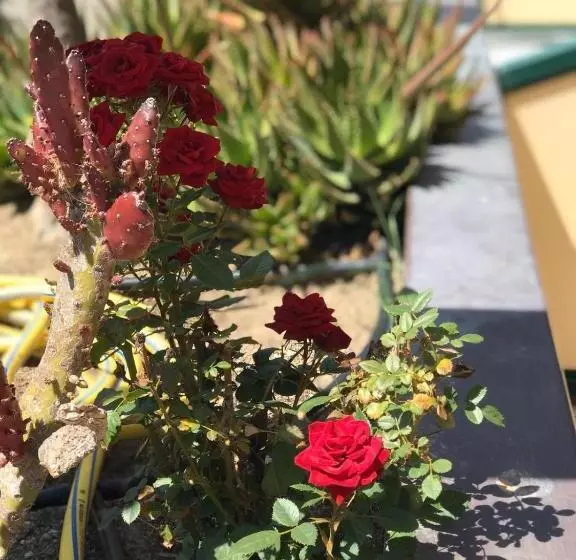 ホテル La Barcarola