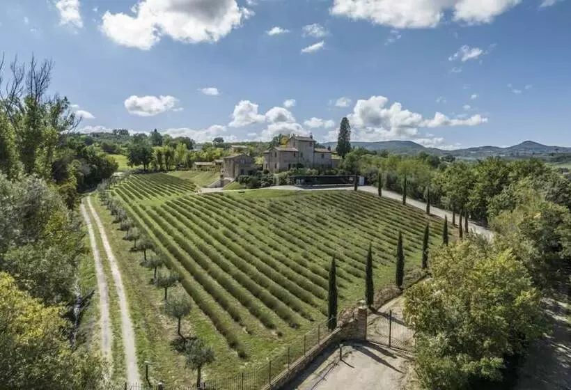 ベッドアンドブレックファースト Agriturismo Merigge Wellness & Spa Montepulciano