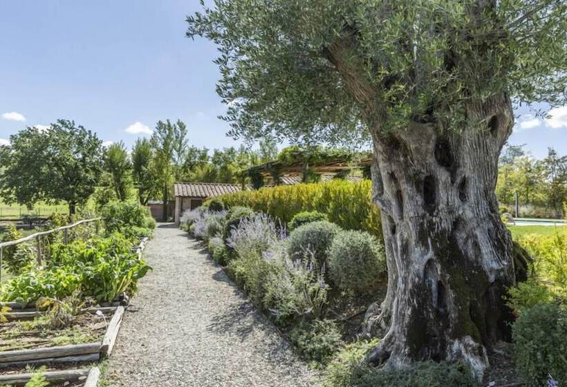 Bed and Breakfast Agriturismo Merigge Wellness & Spa Montepulciano