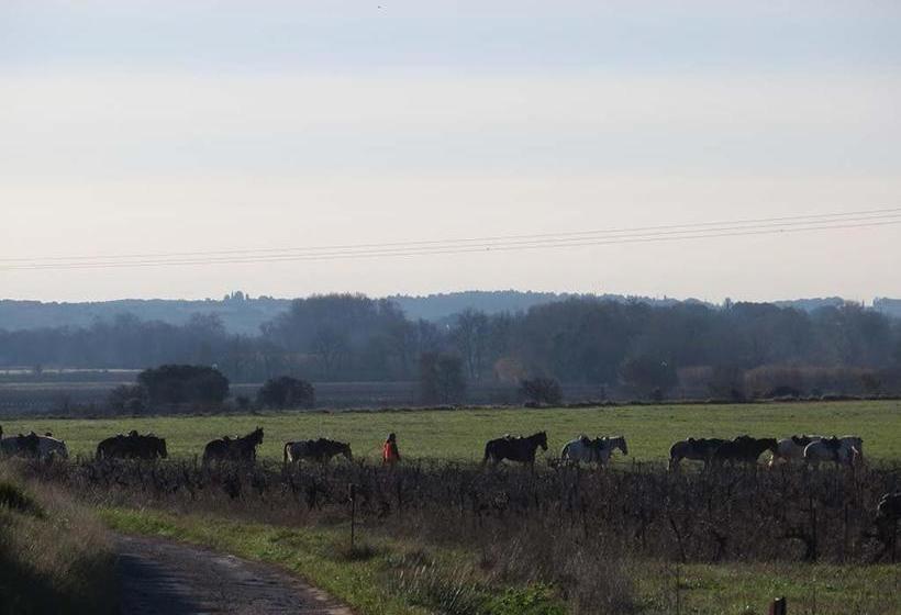 Domaine De Christin Studios Hôtel