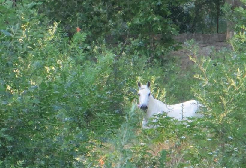 Domaine De Christin Studios Hôtel