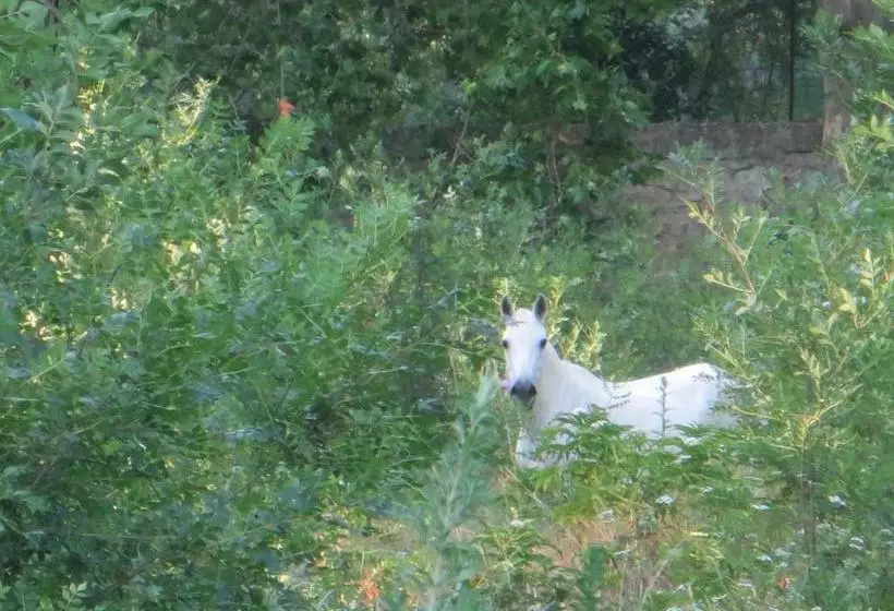 Domaine De Christin Studios Hôtel