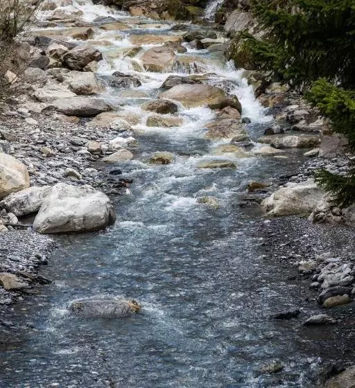 ホテル Weisses Rössli